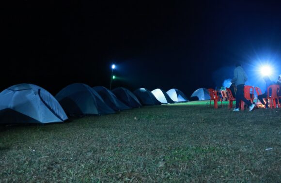 2N3D Nature Camp Escape 2N3D Nature Camp Escape