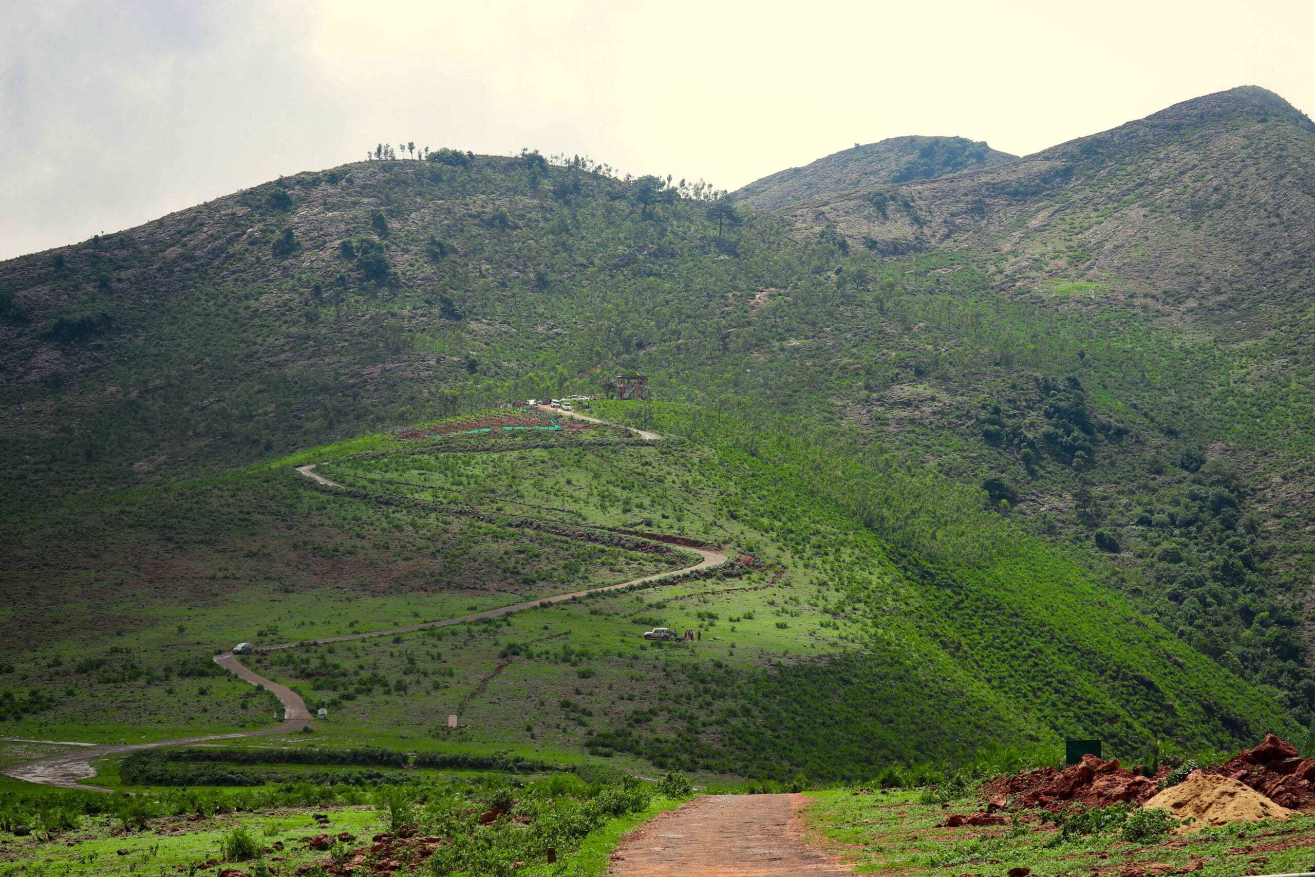Deomali Hilltop