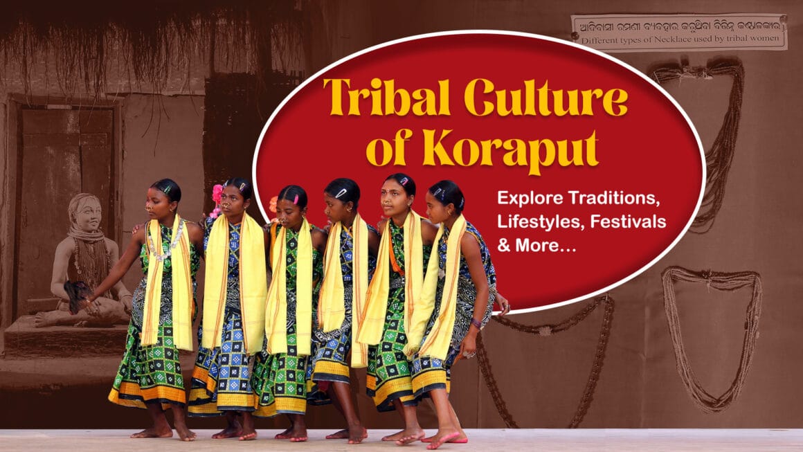 Tribal Culture of Koraput: Explore Traditions, Lifestyles, Festivals & More…